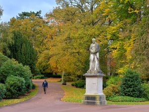 Supporting image for story: Tree inspections to increase across Wolverhampton