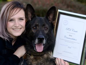 Supporting image for story: Police dog stabbed in Bridgnorth knife incident is honoured - with video
