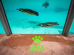 Supporting image for story