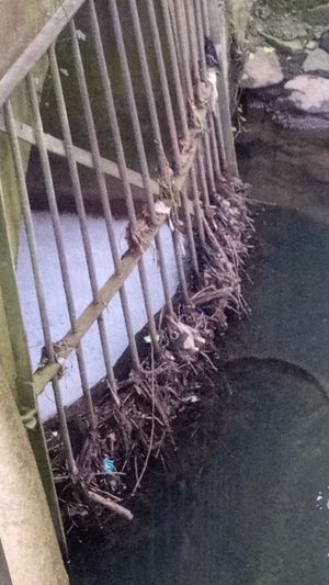 Pollution problems at Hurley Brook in Telford. Picture: Friends of Hurley Brook