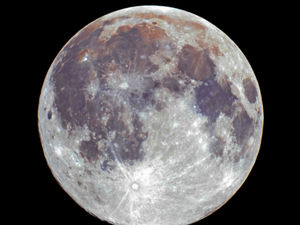 Supporting image for story: Snow moon brings the cameras out