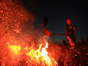 Supporting image for story: Farmers count the costs of fires in hot summer