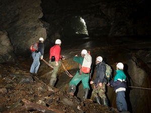 Supporting image for story: Mid Wales cave attraction reopens