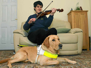 Supporting image for story: Woody snores in musical support