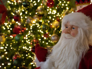 Supporting image for story: The countdown is on as Bridgnorth garden centre opens its Christmas store