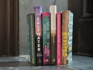 Supporting image for story