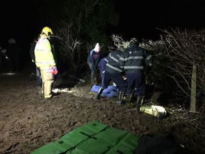 Supporting image for story: Firefighters rescue horse from muddy ditch in Oswestry 