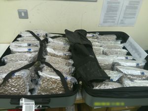 Supporting image for story: Wolverhampton man among group charged with attempted drug smuggling into country