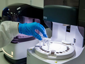 Supporting image for story: Further four coronavirus deaths recorded in region