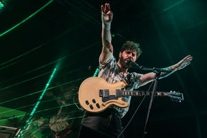 Foals. Photo by: Adriana Vasile