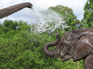 Supporting image for story: Shropshire weather: Could the sun finally be making an appearance?