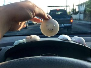 Supporting image for story: The melting of these toys in the heat of a car is pure entertainment