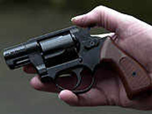 Supporting image for story: Warning over air weapons