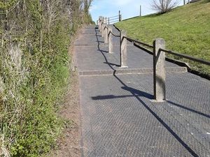 Supporting image for story: 'Horrific mess' as 'poachers' dump animal carcass on Bridgnorth steps