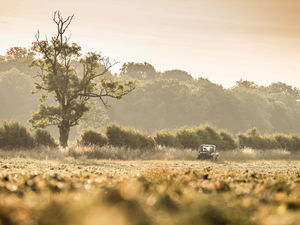 Supporting image for story: Awards will celebrate those  improving health of the British countryside