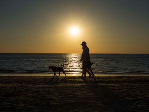 Supporting image for story: Hand injuries sustained by dog walkers cost NHS millions each year – study
