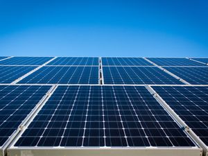 Supporting image for story: Plan for solar farm in Shropshire countryside given green light