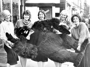 A 'gorilla' in Bridgnorth on December 2, 1985. The caption reads: 'Monkeying around at Bridgnorth yesterday, from left, Lorraine Martin, Sarah Davies, Diane Pooler, Helen Connolly and Angela Jones with the gorilla.' The accompanying story began: 'People visiting a Bridgnorth solicitors office yesterday could be forgiven if they thought the staff had gone slightly ape. For on hand to greet them in the reception area was a 6ft jet black toy gorilla sporting a bright red bow tie and a massive grin. Solicitor Mr Alan Ridgway bought the beast with a bid during the BBC's Children In Need Appeal programme'