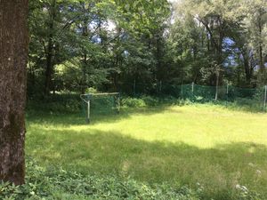 Anyone got a lawnmower?