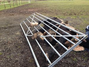 Supporting image for story: Rhys the horse rescued after getting its leg stuck in gate in Albrighton