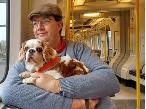 Supporting image for story: Pictures: Dog in a bag is an internet sensation as he hits Shropshire