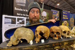 Jez King from curios and taxidermy company 'Remains to be Scene' 