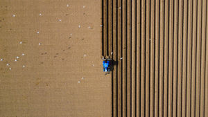 Image by Emma Sumner who is studying for UAL Level 3 extended diploma in photography.