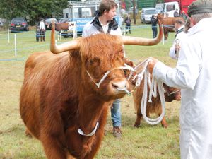 Supporting image for story: Excitement is building for 137th Oswestry Show 