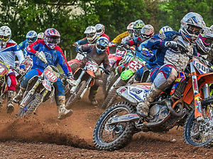 Supporting image for story: Angel takes wing to clinch experts' title