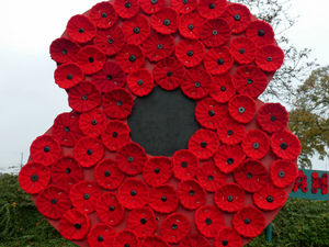 Supporting image for story: Black Country poppy collections expected to lose thousands