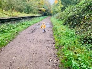 Supporting image for story: This peaceful 5-mile West Midlands railway trail is ideal for a flat and easy stroll