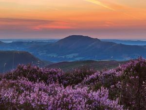 Supporting image for story: National Trust slammed for damaging Shropshire beauty spot