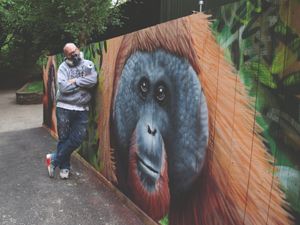 Supporting image for story: Dudley Zoo shining a light on conservation message with new graffiti wall