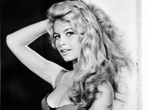 Supporting image for story: Peter Rhodes on deepfake, cocaine and why we should all be eating pigeon