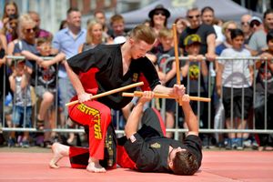 Academy Martial Arts put on a display at Stourbridge Carnival