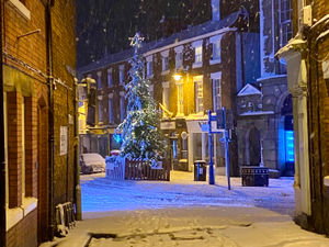 Supporting image for story: Councillor decries 'lack of salt bins' in Shropshire town as people 'break bones on ice'