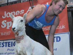 Supporting image for story: Baa-king mad: Speed shearing competition raises almost £11k for charity