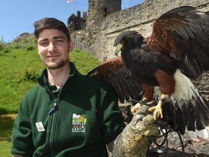 Supporting image for story: Dudley Zoo & Castle ready to celebrate heritage with discounted tickets as part of festival