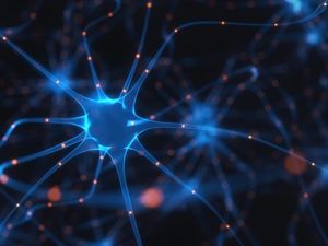 Supporting image for story: Scientists have found evidence of a higher state of consciousness