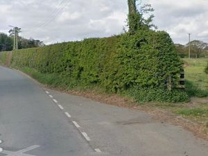 Supporting image for story: New plans lodged for 40 homes in Wem