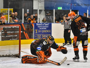 Supporting image for story: Tom Watkins: Telford Tigers’ winning attitude is just champion 