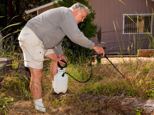 Supporting image for story: Does herbicide kill more than weeds?