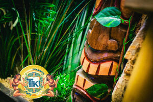 Supporting image for story: Wolverhampton's The Bohemian cocktail bar set to open Tiki room
