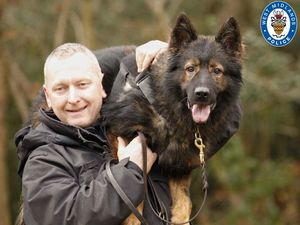Supporting image for story: 'He has given everything to protect the West Midlands and beyond' - Long serving police dog handler retires after distinguished career