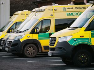 Supporting image for story: Shropshire woman's 21-hour wait for ambulance highlighted in House of Lords report