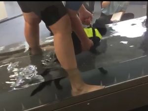 Supporting image for story: WATCH: Underwater treadmill helps cat's rehab after airgun shooting