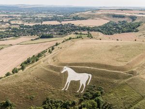 Supporting image for story: White horse landmark to be examined for damage after red cross pinned to it