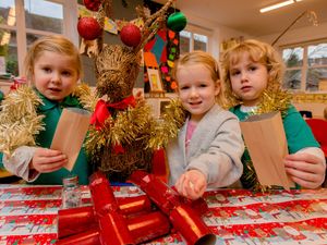 Supporting image for story: Reindeers in for a treat at Bridgnorth's switch-on