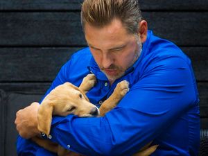 Supporting image for story