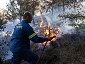 Supporting image for story: North Macedonia seeks EU help as wildfires spread across Balkans into Greece